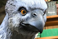 バックビーク、「ハリー・ポッター ショップ 原宿」にて©cula バックビーク、「ハリー・ポッター ショップ 原宿」にて©cula